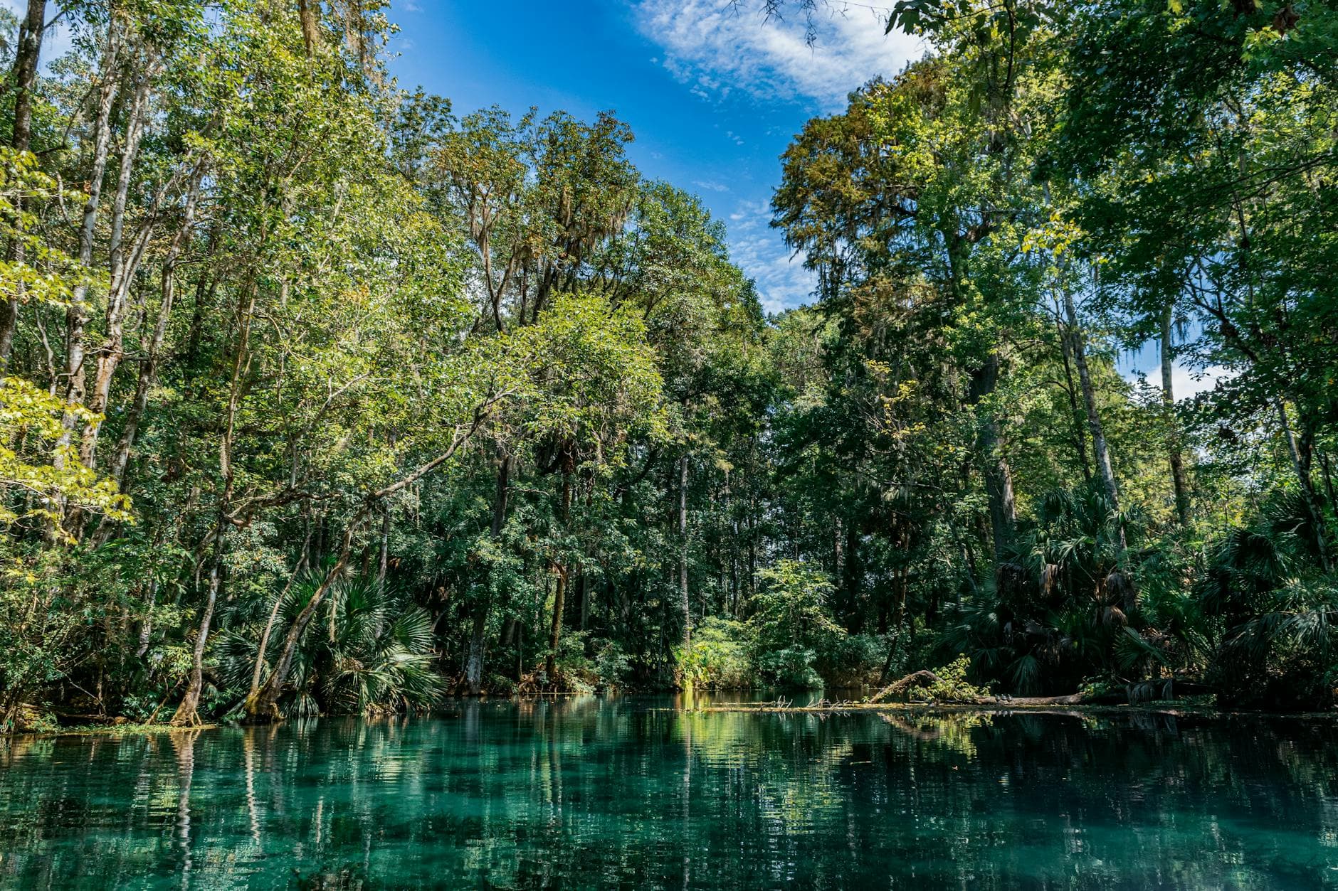 Turquoise Water, Slower Days: A North Florida Springs Escape — Florida Springs (North Central)